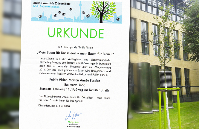 Unser Baum für Düsseldorf - public vision | Video- & Medienproduktion | Corporate Publishing | Düsseldorf