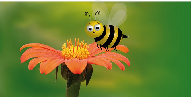 Blühpflanzen für fröhliche Bienchen - public vision | Video- & Medienproduktion | Corporate Publishing | Düsseldorf